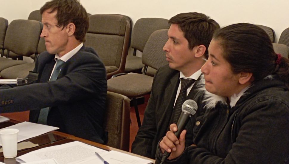 El fiscal pidió que Margarita Serna sea juzgada por homicidio agravado por el vínculo