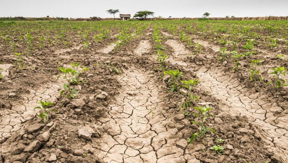 Sequía: 180 productores rurales de Pergamino completaron la declaración de Emergencia Agropecuaria