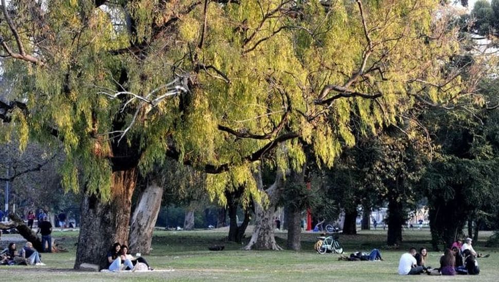 Una joven se desvaneció y murió mientras trotaba en La Plata