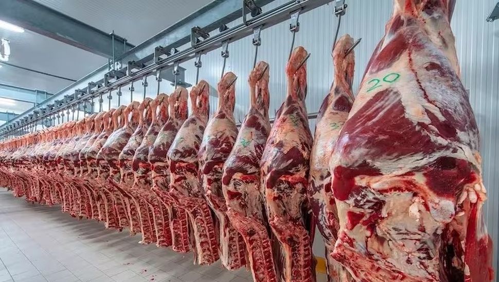 El aumento de la hacienda hizo saltar el precio de la carne