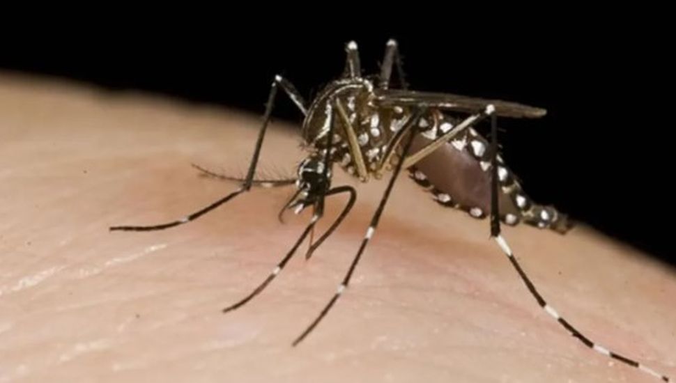 Se registraron 5 nuevas muertes por dengue en Córdoba, San Luis y Santa Fe