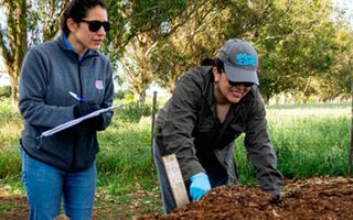 Hallazgo del INTA Pergamino en un estudio acerca del compost de cama de pollo