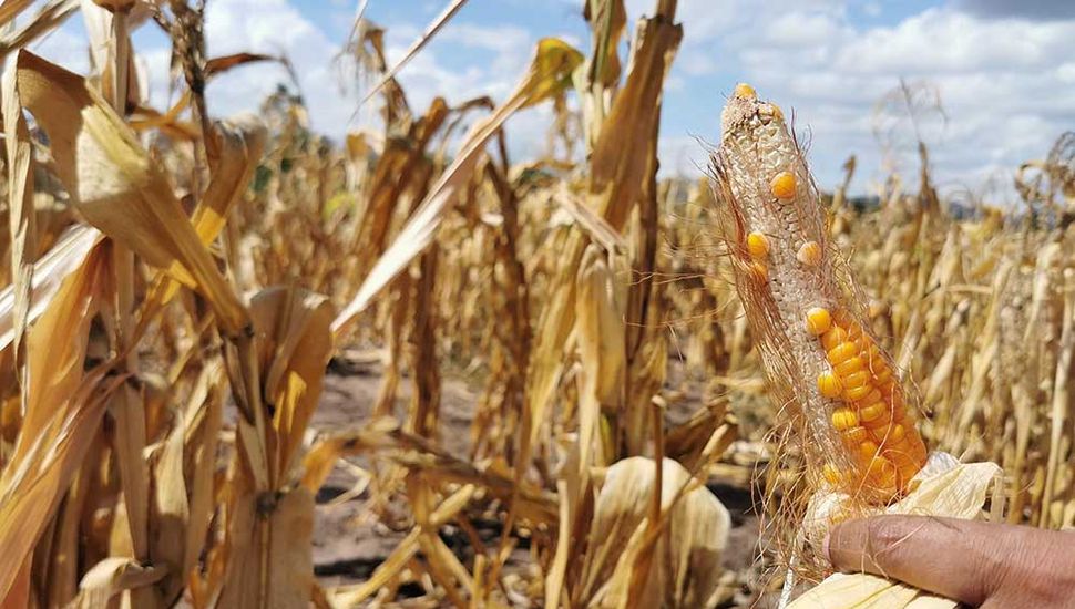 Provincia anunció la continuidad de la emergencia agropecuaria