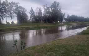 El Arroyo Pergamino comienza a recuperar su caudal de agua