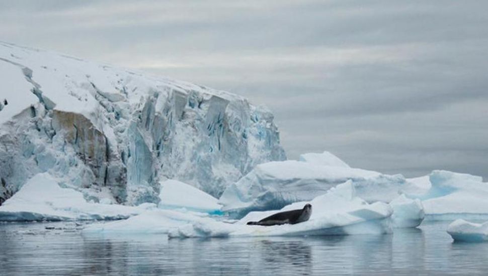 La Antártida se derrite: perdió hielo como la superficie del territorio argentino