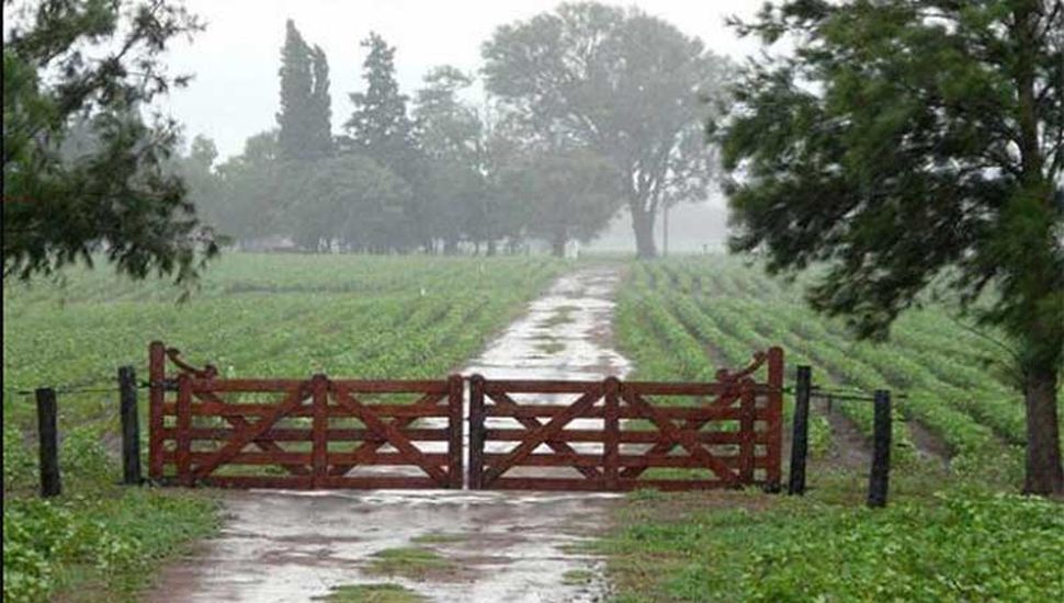 Las últimas lluvias en la zona despertaron optimismo en el agro