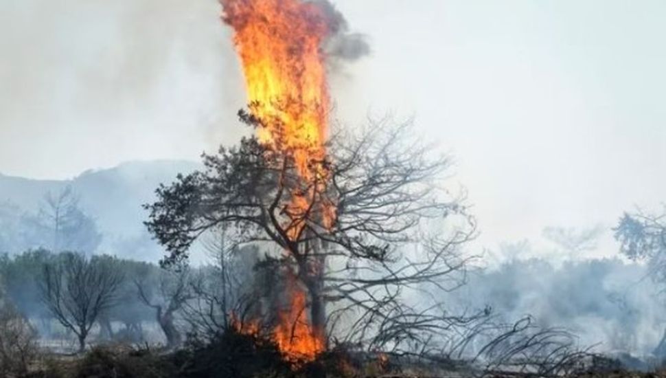 El Mediterráneo en llamas: los incendios se ceban con Grecia, Italia y Argelia