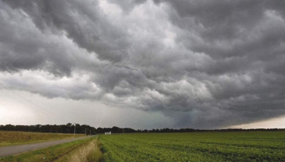 Las últimas lluvias renovaron el ánimo entre los productores de Pergamino