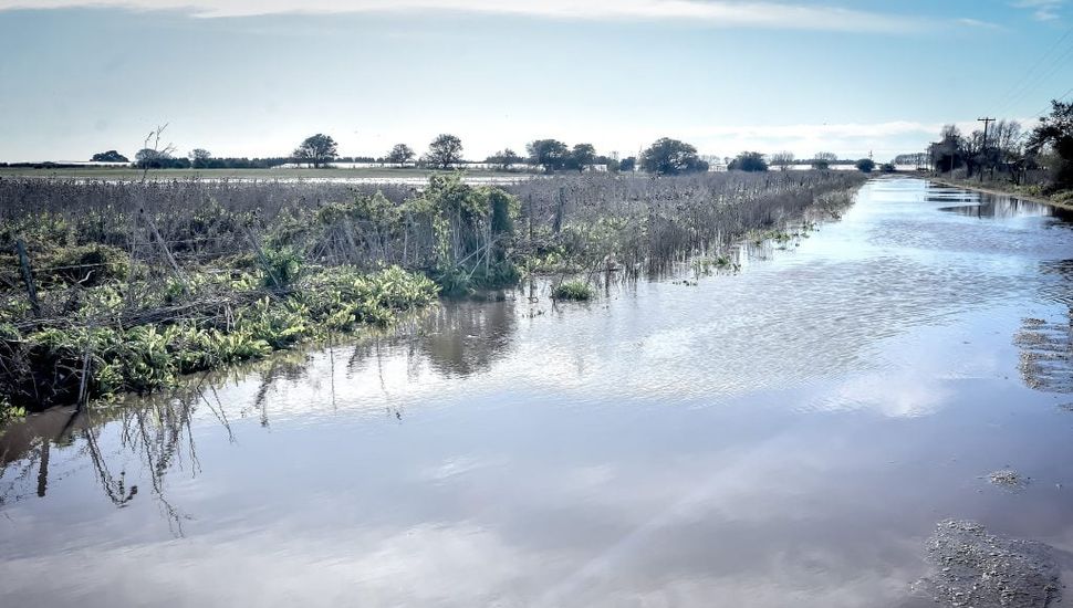 Asistirán a los productores frutihortícolas afectados por las inundaciones