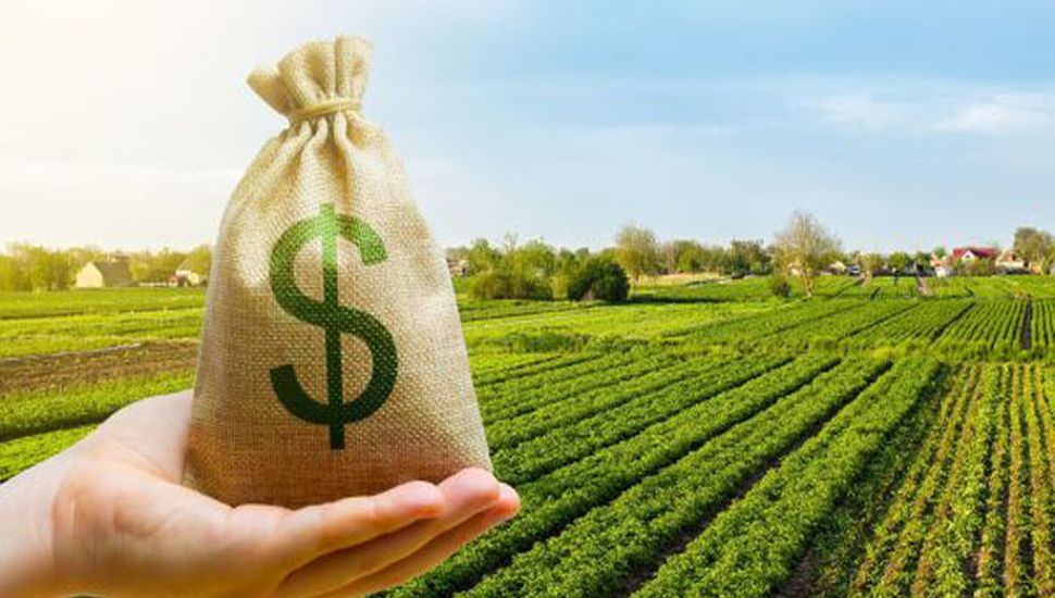 La presión tributaria al agro creció un 65% desde diciembre
