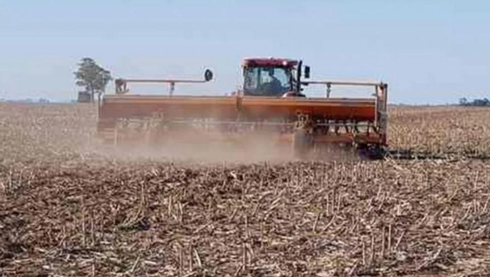 Las escasas precipitaciones ponen en riesgo la siembra de trigo