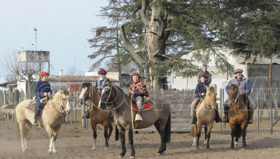 Comenzó la la Expo Junín con récord de presencia de ganado bovino