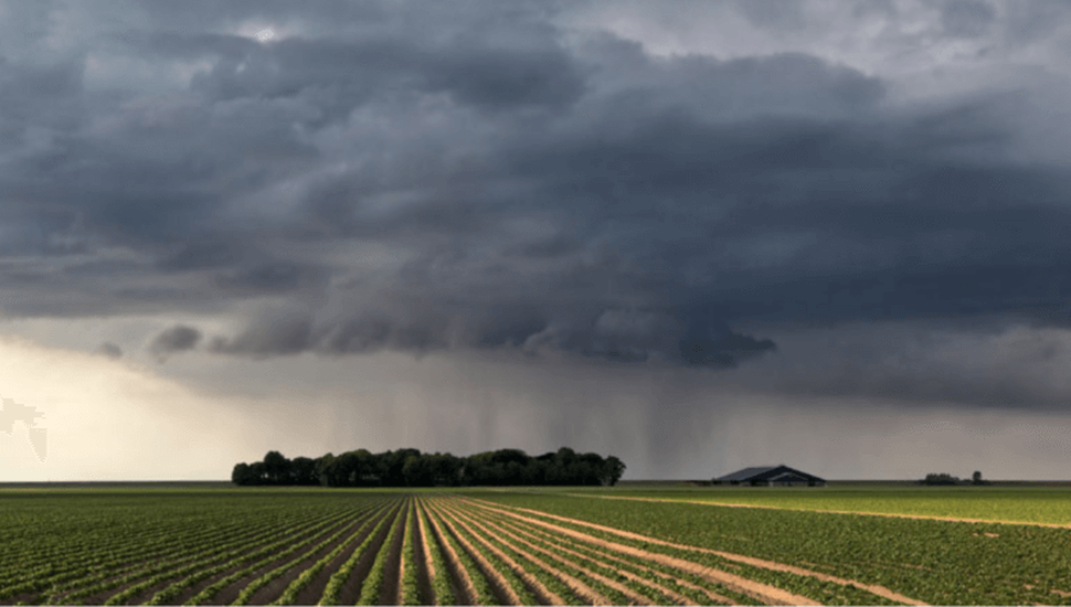 Las lluvias registradas durante la primavera superaron la media