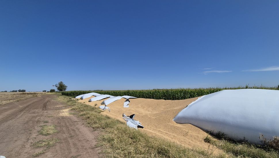 Se robaron 38 toneladas de soja en Chacabuco