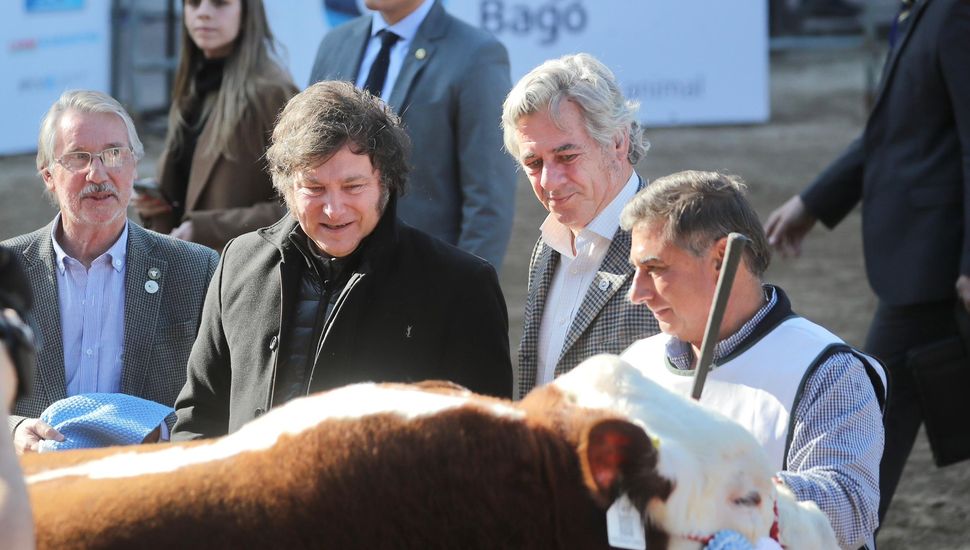 Milei visitó el predio de la Sociedad Rural en Palermo a una semana del atentado contra su presidente