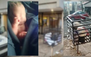 Hallan a una recién nacida en un tacho de basura en el Conurbano