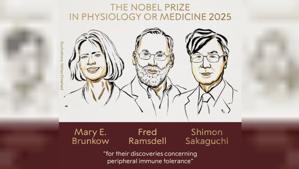 El Premio Nobel de Medicina 2025 fue otorgado a Mary E. Brunkow, Fred Ramsdell y Shimon Sakaguchi