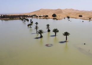 El desierto del Sahara se llenó de agua luego de lluvias históricas