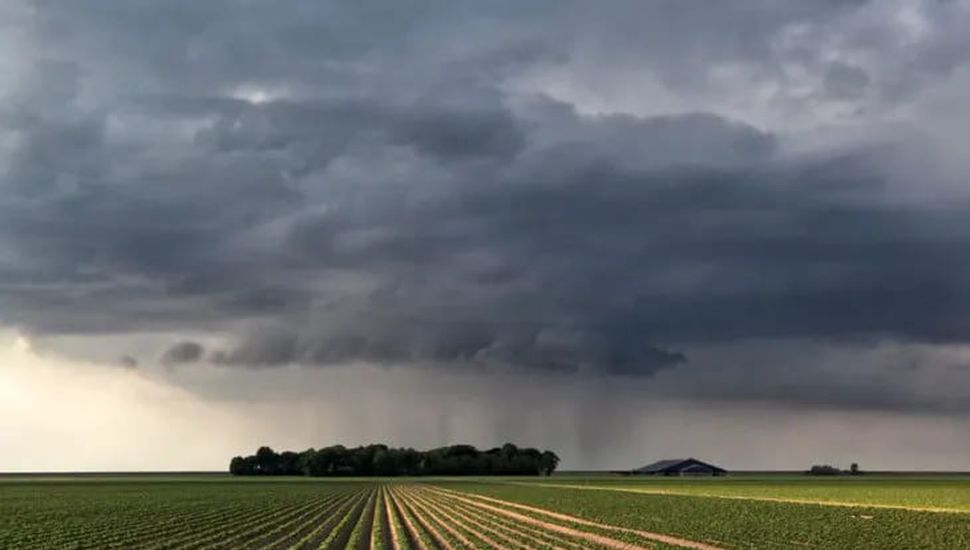 Se disipa el fenómeno de La Niña y mejora el panorama para la soja y el maíz: el verano se encamina sin largos períodos secos