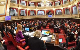 La pelea del peronismo se traslada al Senado