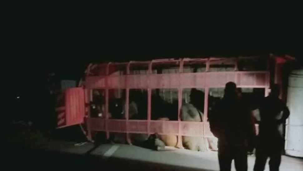 Volcó un camión con hacienda en la Autovía