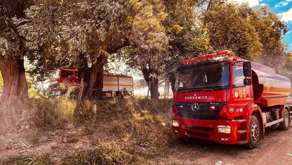 Los bomberos combatieron un gran incendio forestal