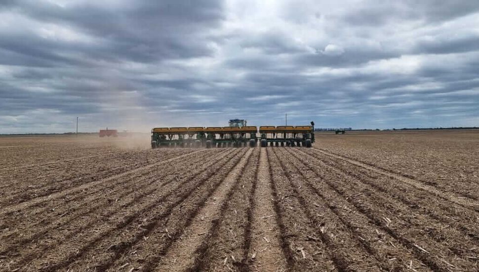 Soja: la siembra avanza al 70% pero se mantiene muy por detrás de los ritmos históricos