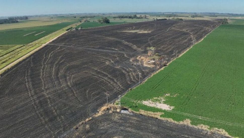 Se disparan los incendios forestales en Pergamino: las salidas de Bomberos aumentaron hasta un 80%