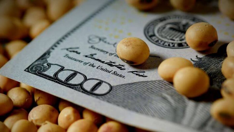 Entidades agrarias de Pergamino, Rojas, Colón y Salto rechazan el "dólar soja 2"