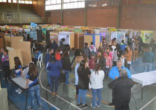 134 proyectos fueron parte de la Etapa Regional de la Feria de Ciencias en Salto