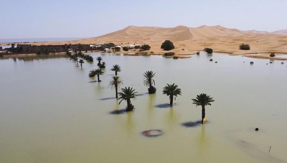 El desierto del Sahara se llenó de agua luego de lluvias históricas