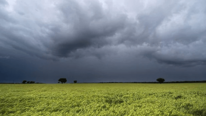 El balance pluvial del 2025 fue altamente positivo en región núcleo