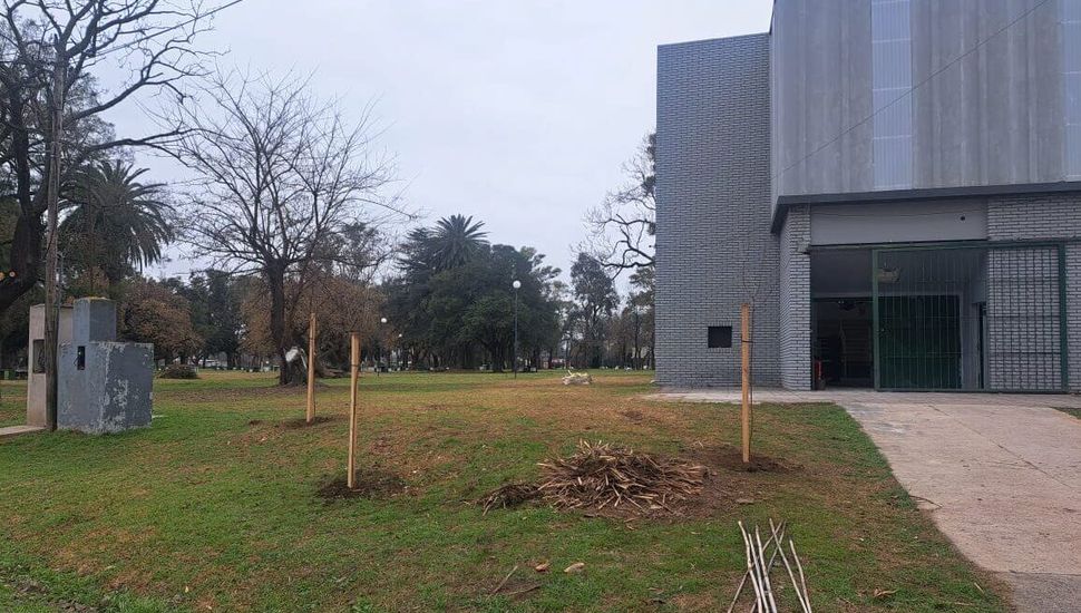 Continúa la reforestación en el Parque Municipal de Pergamino