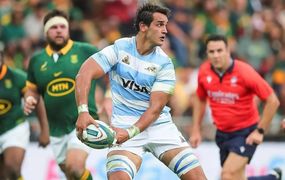 Los Pumas perdieron en la final del Rugby Championship ante los Springboks