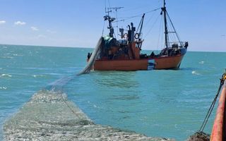 La actividad económica creció un 3,2% interanual