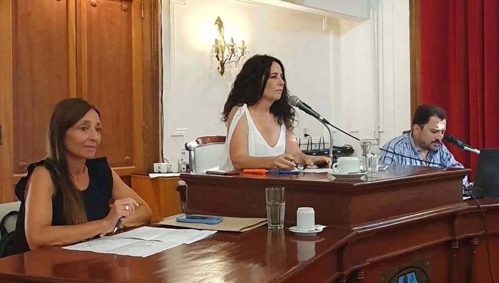Gabriela Taruselli: "Este año no hubo temas de interés para la comunidad de Pergamino que no tuvieran su espacio de debate en el HCD"