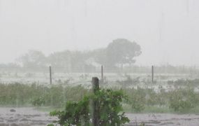 En Salto llovieron 721 milímetros durante los últimos tres meses