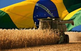 Francia demora el acuerdo comercial con el Mercosur