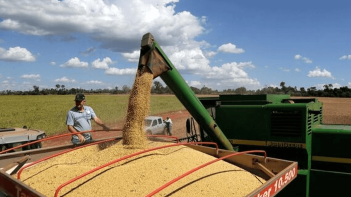 Reducción de retenciones: apuran la liquidación del campo