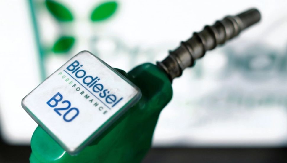 Aceiteras denunciaron el cierre del mercado europeo