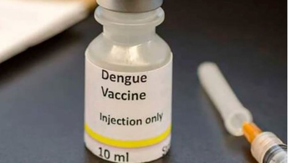 Confirman que la vacuna contra el dengue estará disponible en noviembre