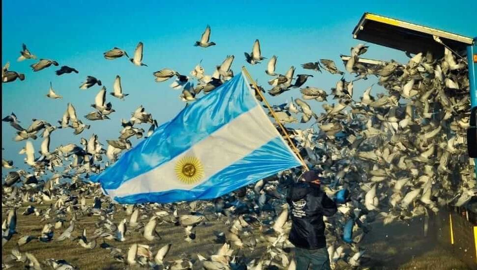 Walter Cardoso y Carlos Ferreyra se destacan en el torneo de la Sociedad Colombófila de Pergamino