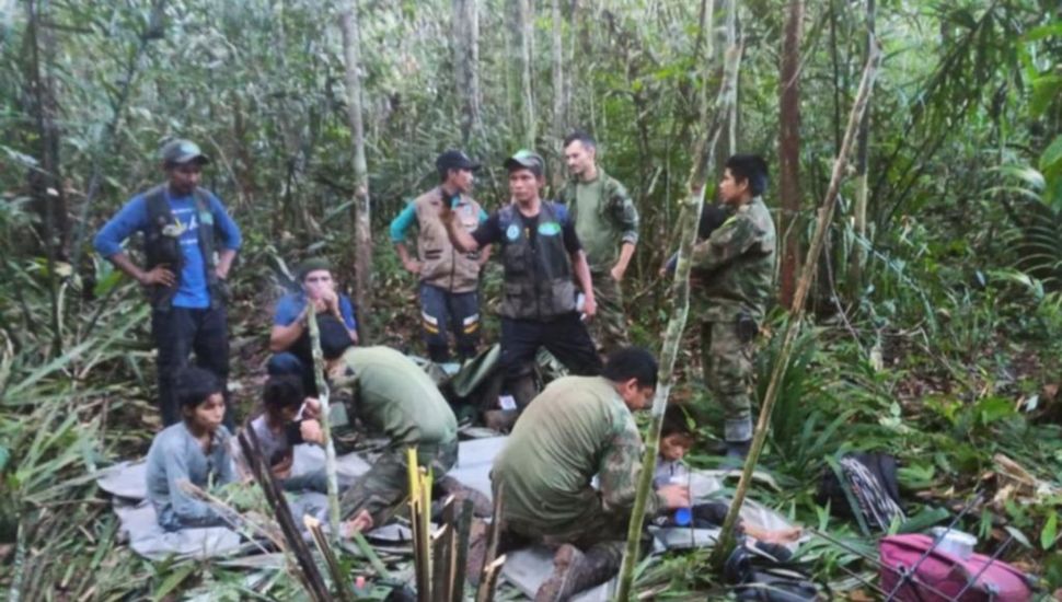 Milagro en Colombia: hallaron con vida en la selva a los cuatro niños