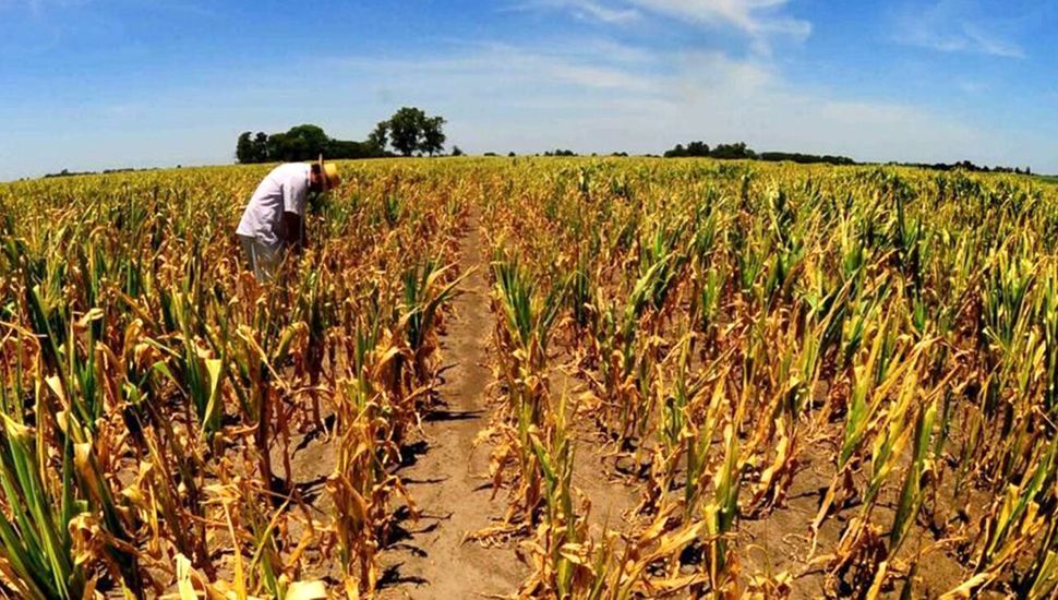 Entidades locales advierten que por la sequía Pergamino perderá 60 mil millones de pesos