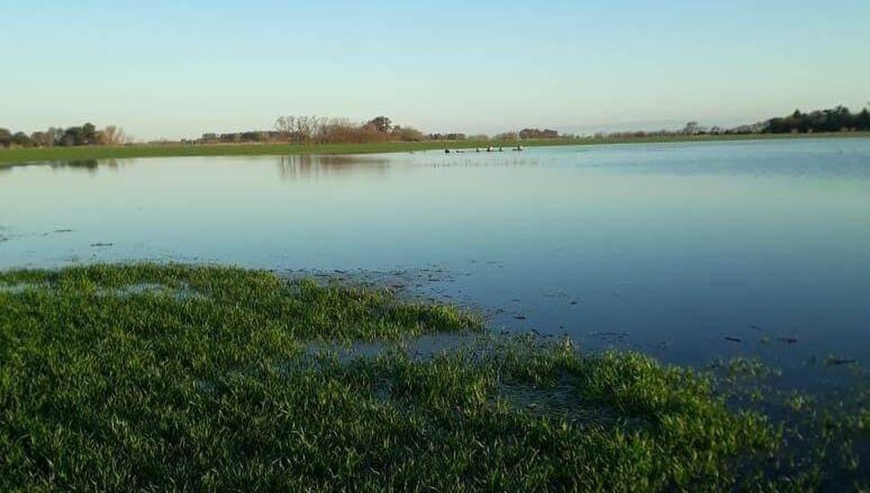 Cisne negro: las inéditas lluvias de agosto dejan un escenario en la región núcleo de oportunidades y riesgos