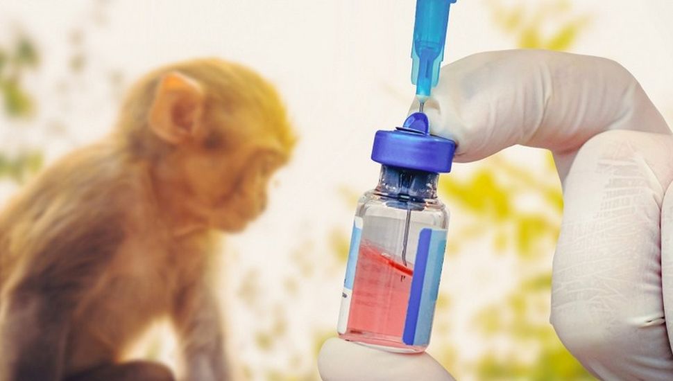 Viruela del mono: aseguran que la vacuna no alcanza para detener la epidemia