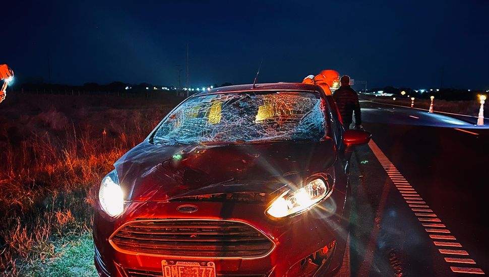 Caballos sueltos casi provocan una tragedia en la Autopista 8