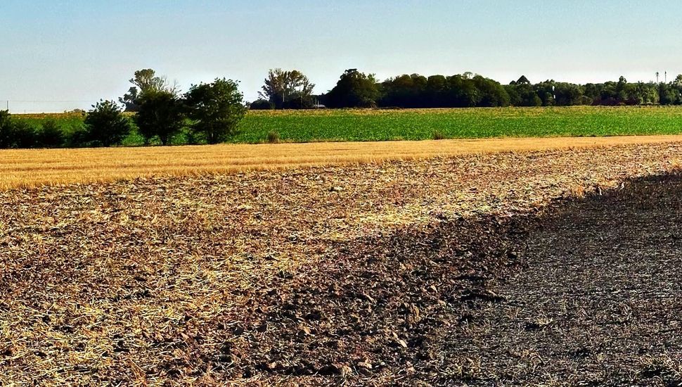 Un incendio afectó unas 20 hectáreas de un campo de Mariano Benítez