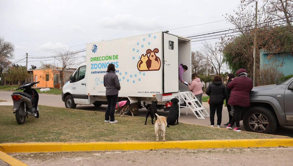 Zoonosis continúa recorriendo Colón con castraciones y vacunación antirrábica