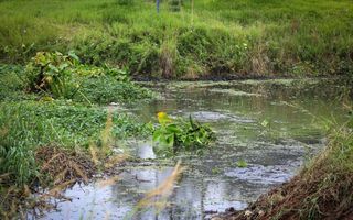 Despliegue de trabajos de los equipos de Servicios Públicos